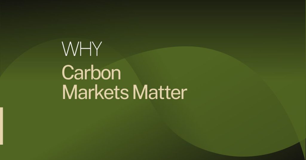 SEN social LI (1200 x 627 px) (1)